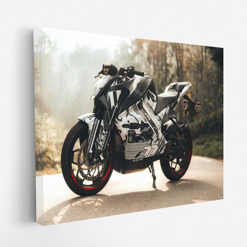 Performance and Style: The Ultraviolette F77 Electric Sportbike