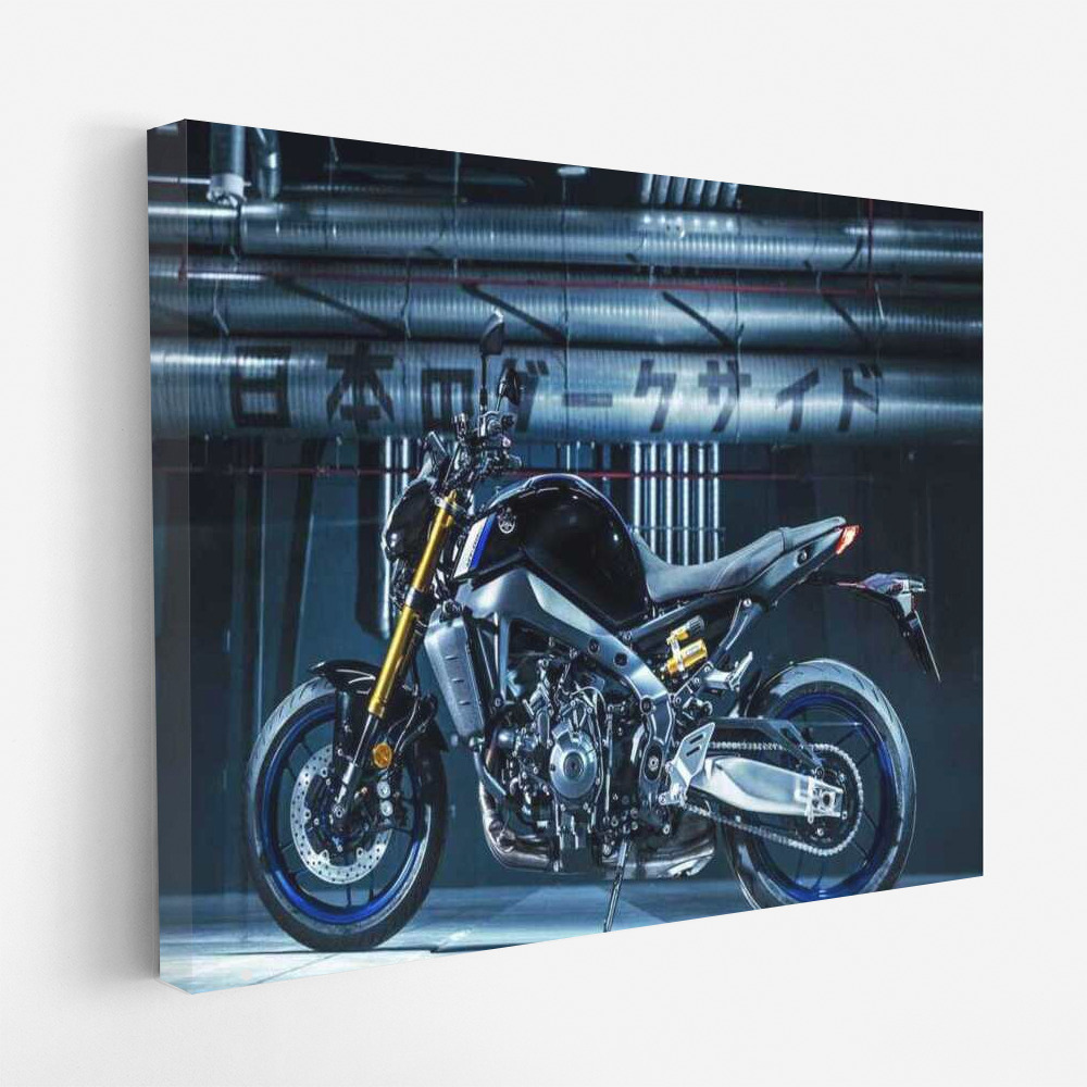 Yamaha MT 09: Motobike Performance and Style