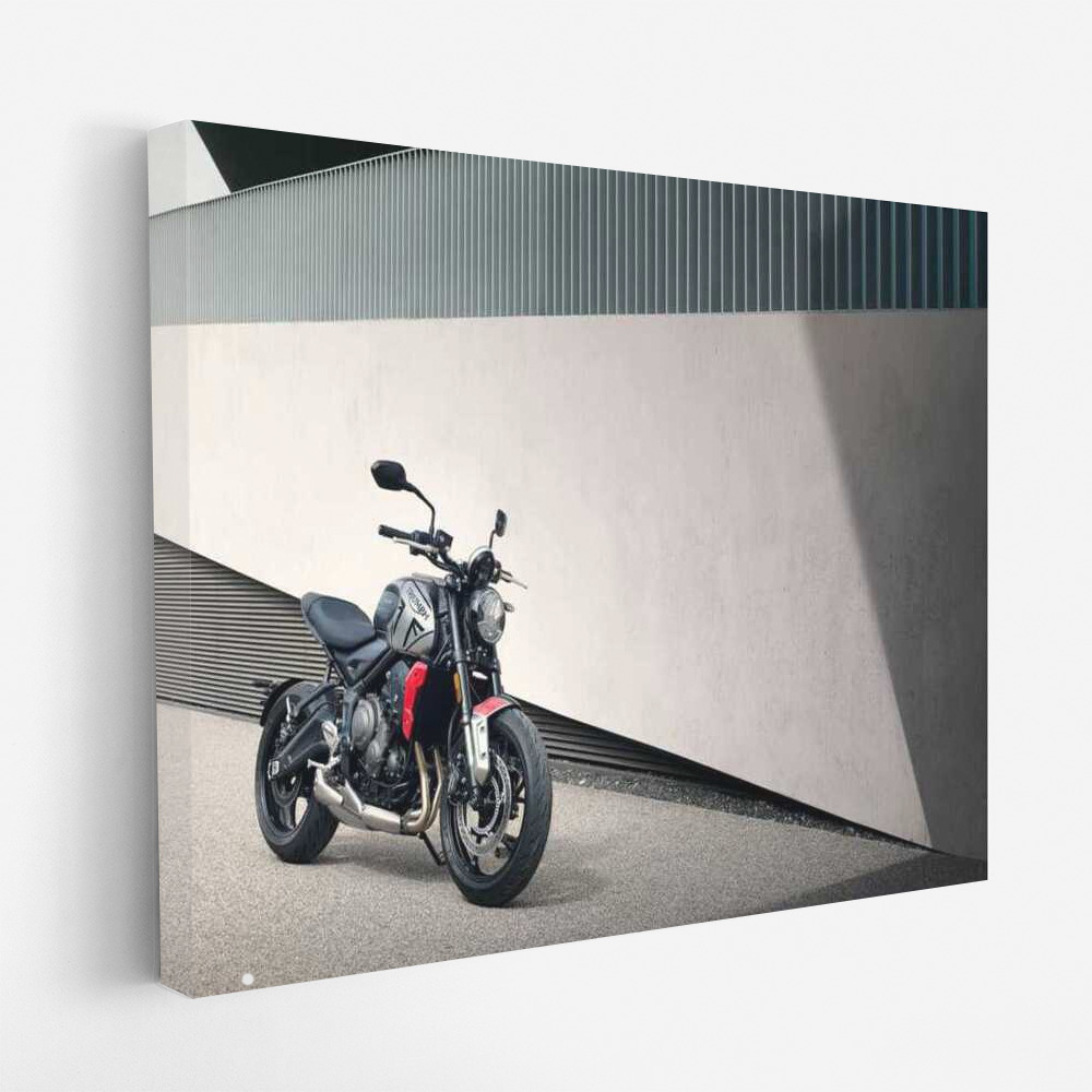 Triumph Trident 660: Motobike Performance and Style