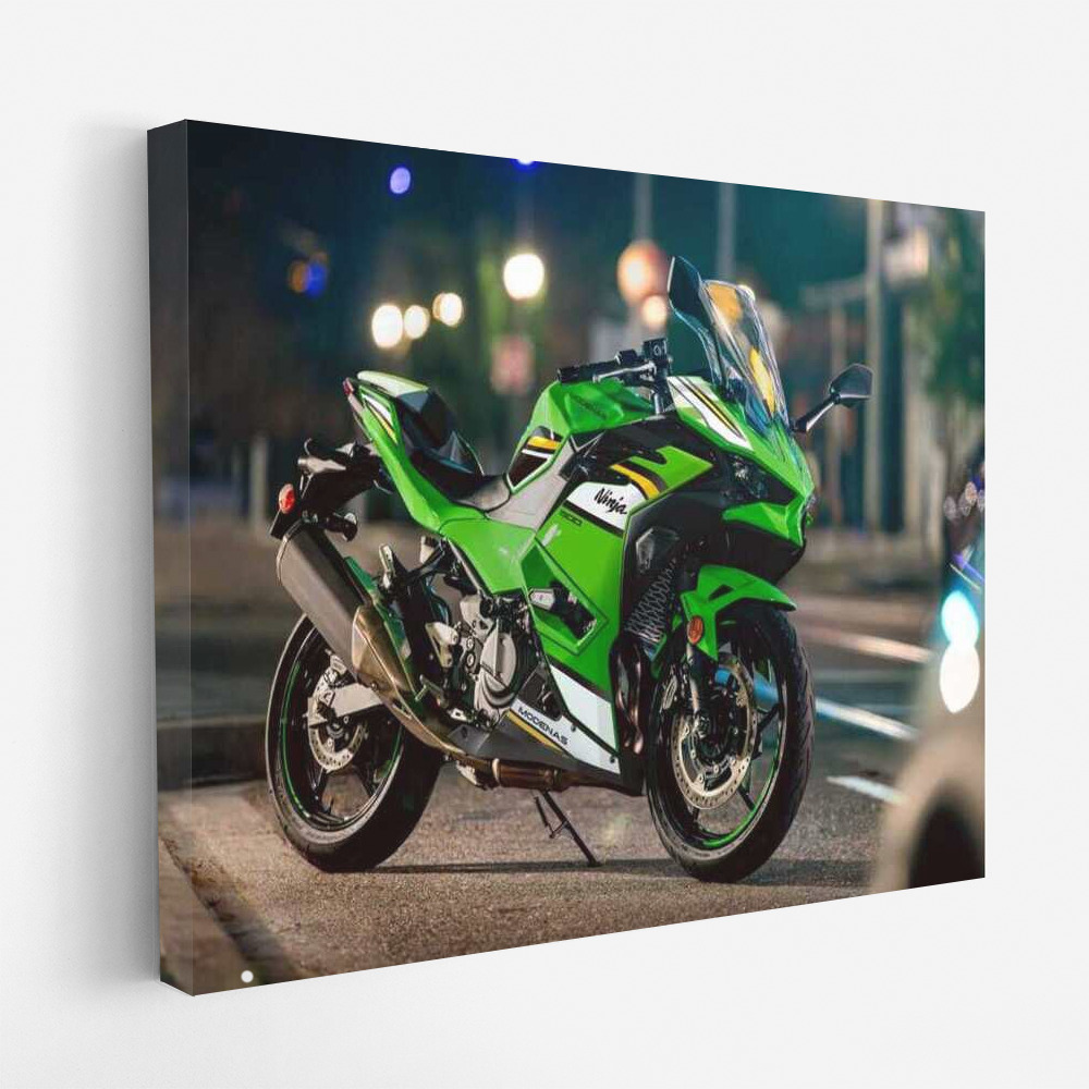 Speed and Style: Kawasaki Ninja 500 Motobike