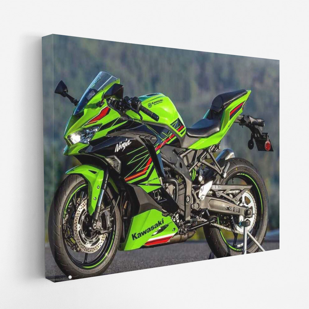 Kawasaki Ninja ZX 4RR: Performance of a Sportbike