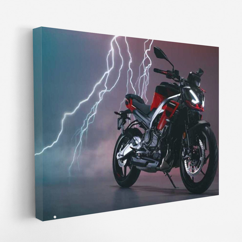 Aprilia Tuono 457 W: Style and Speed for Motobike Enthusiasts