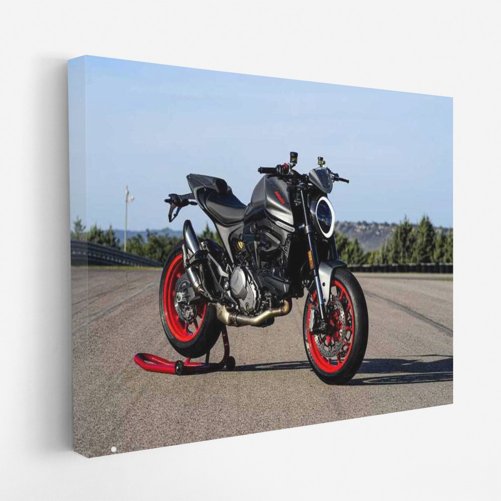 Ducati Monster Roar: Energy and Speed