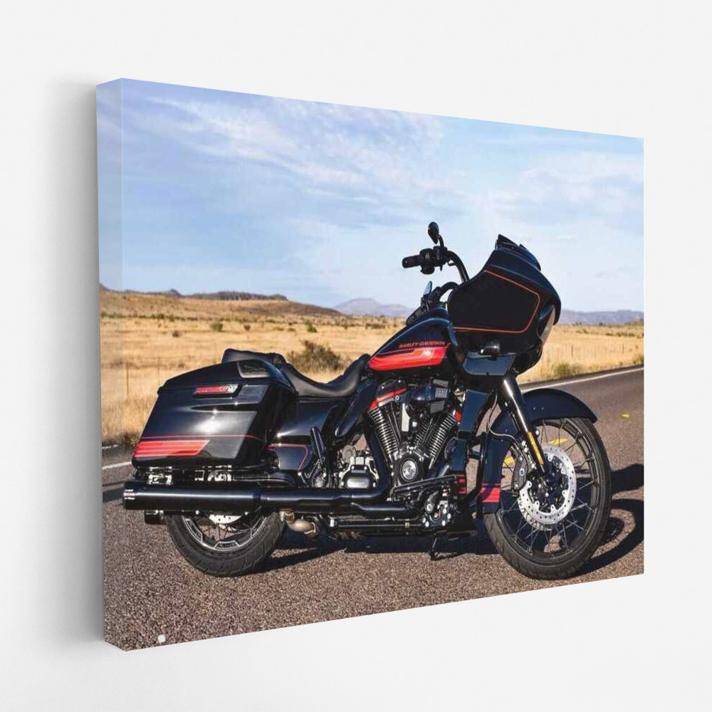 Freedom on the Road: Harley Davidson CVO and Motobike