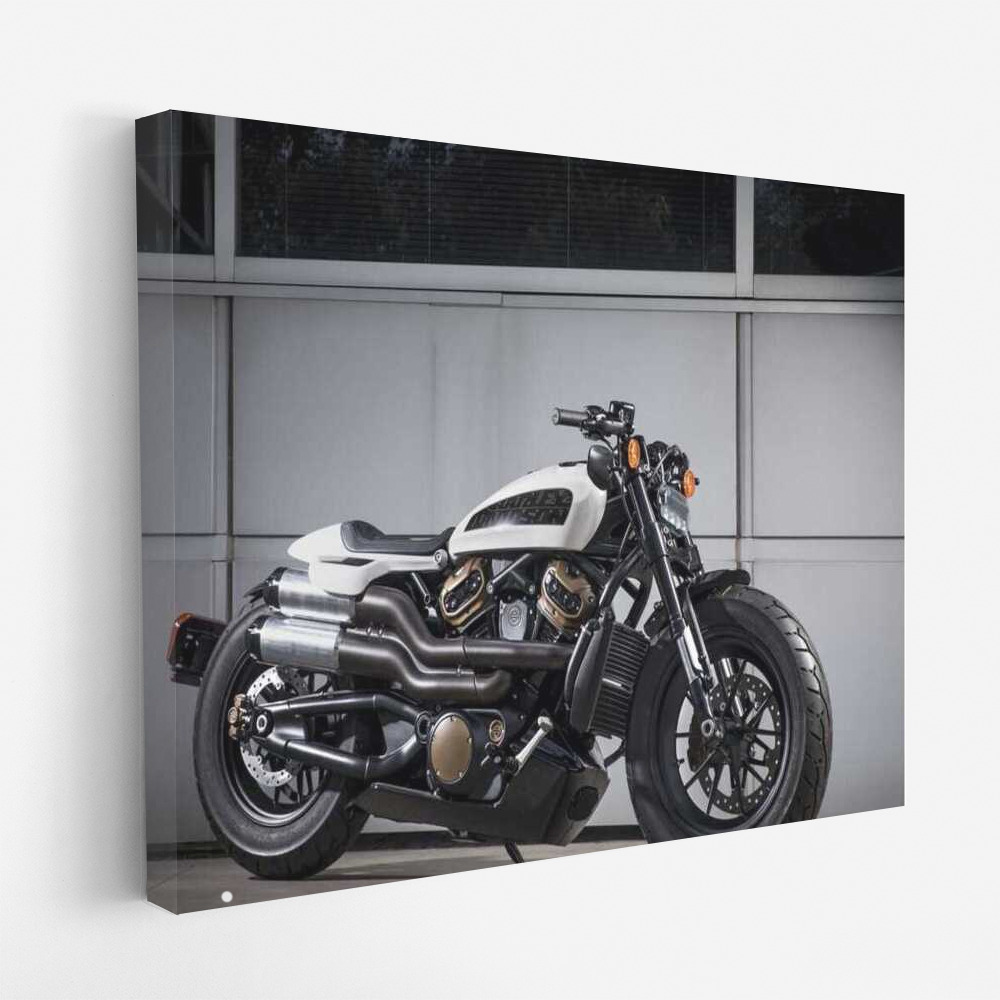 Harley Davidson Custom 1250 Prototype: Dynamics and Style in the World of Motobikes