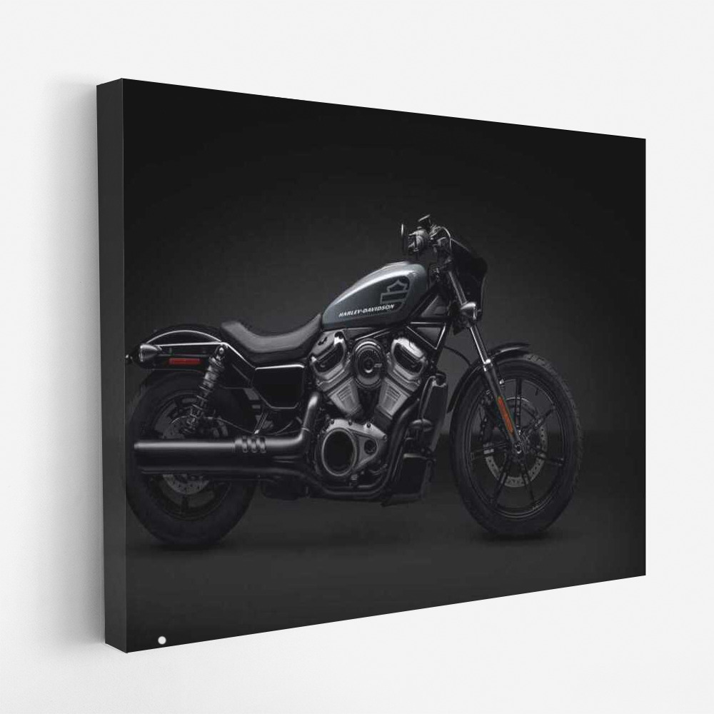 Harley Davidson Nightster: Nocturnal Freedom on Two Wheels
