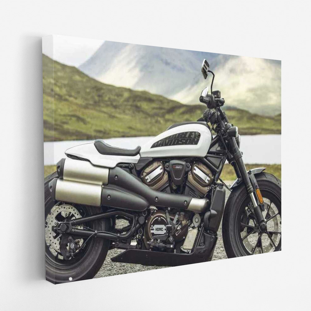 Harley Davidson Sportster S 1: Dynamics and Style in the World of Motobikes