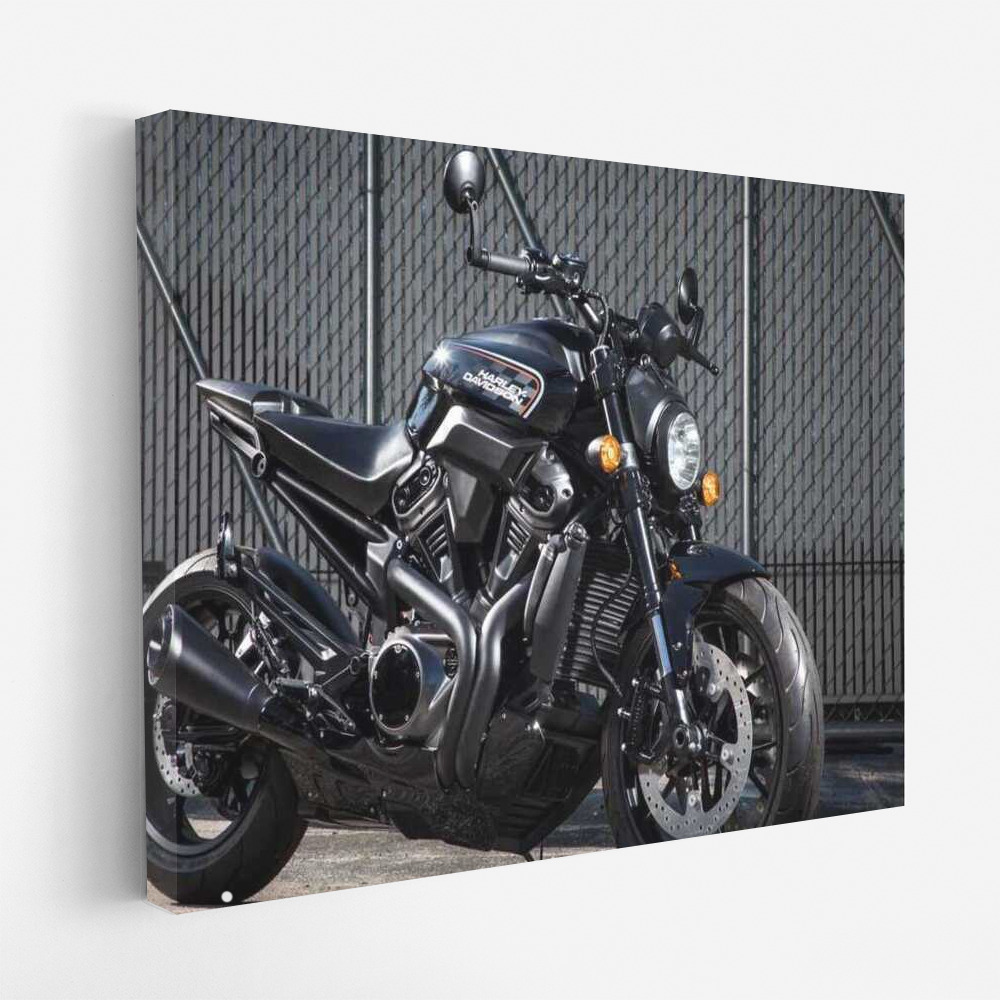 Speed and Style: Harley Davidson Cafe Racer