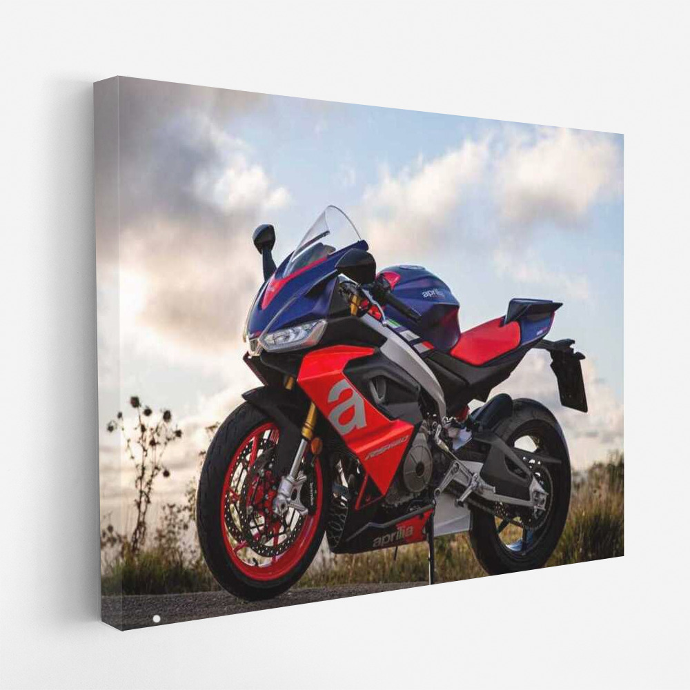 Sunset Symphony: Aprilia RS 660 in the World of Speed