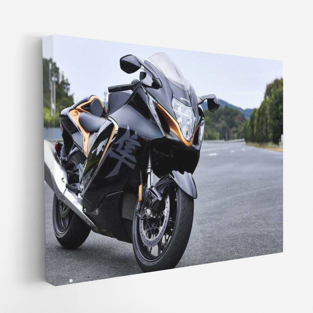 Speed Whirlwind: Suzuki Hayabusa Motobike