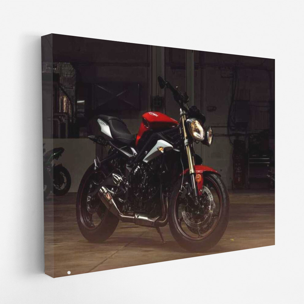 Triumph Speed Triple: The Embodiment of Speed and Style in the World of Motobikes