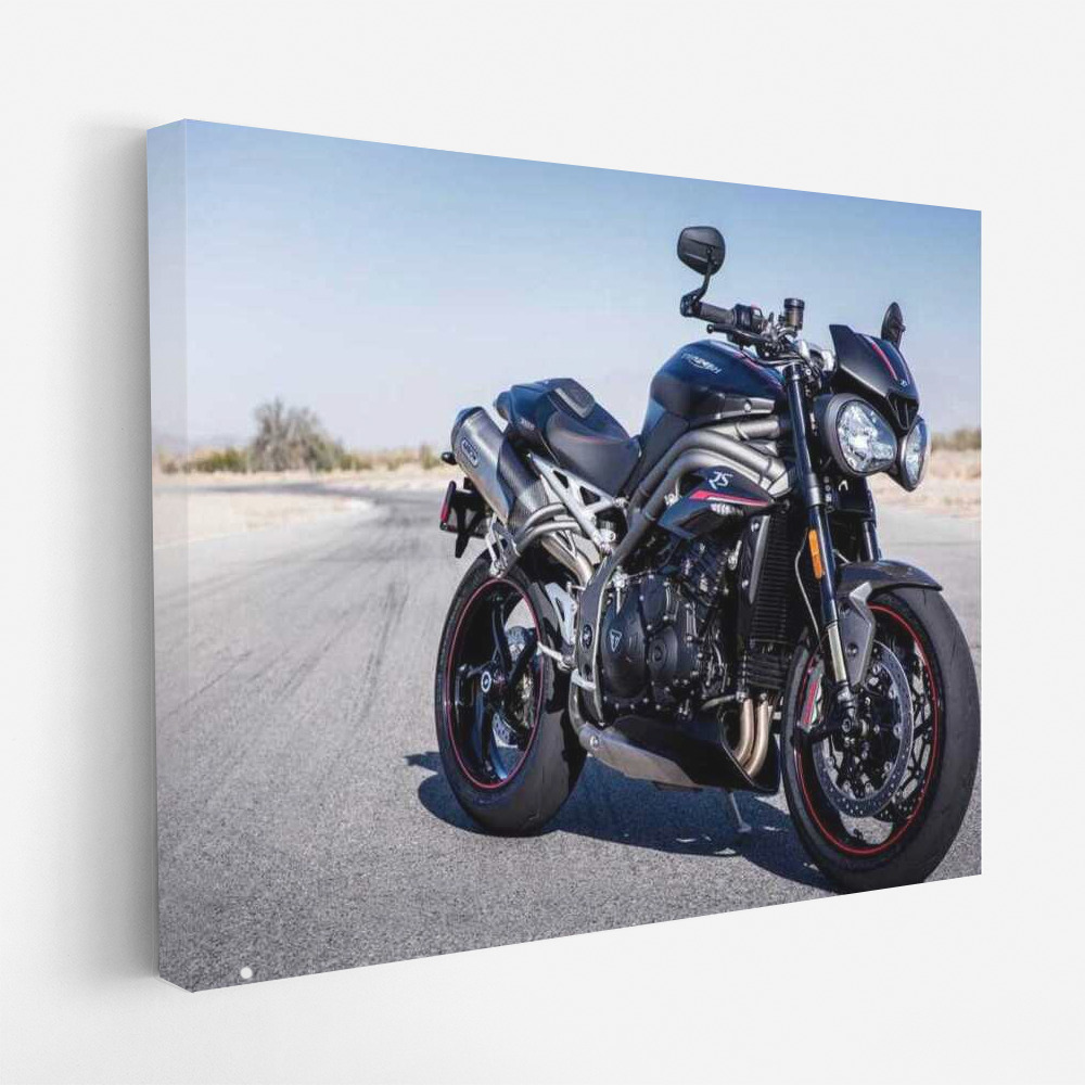 Triumph Speed Triple RS Cafe Racer