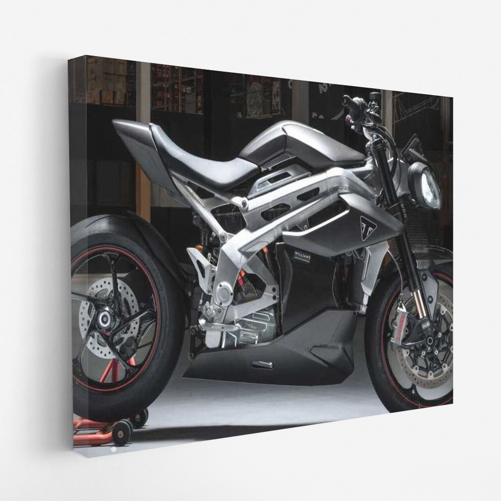 Triumph TE 1: Electric Whirlwind of Speed