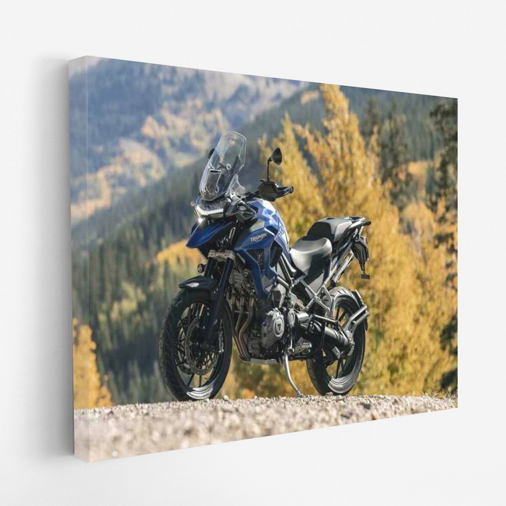 Triumph Tiger 1200: Adventure Dynamics in the World of Motobike