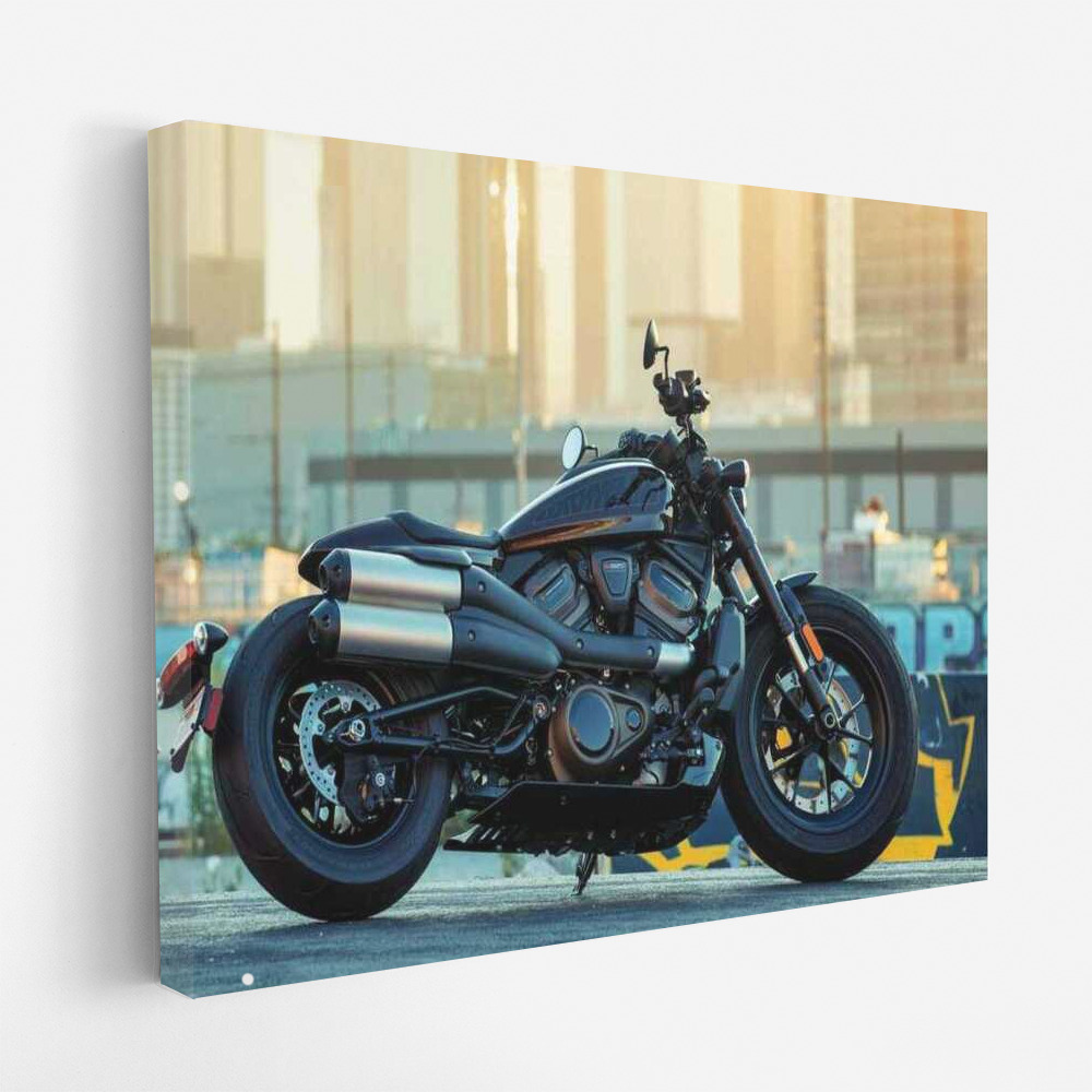 Freedom on Two Wheels: Harley Davidson Sportster S