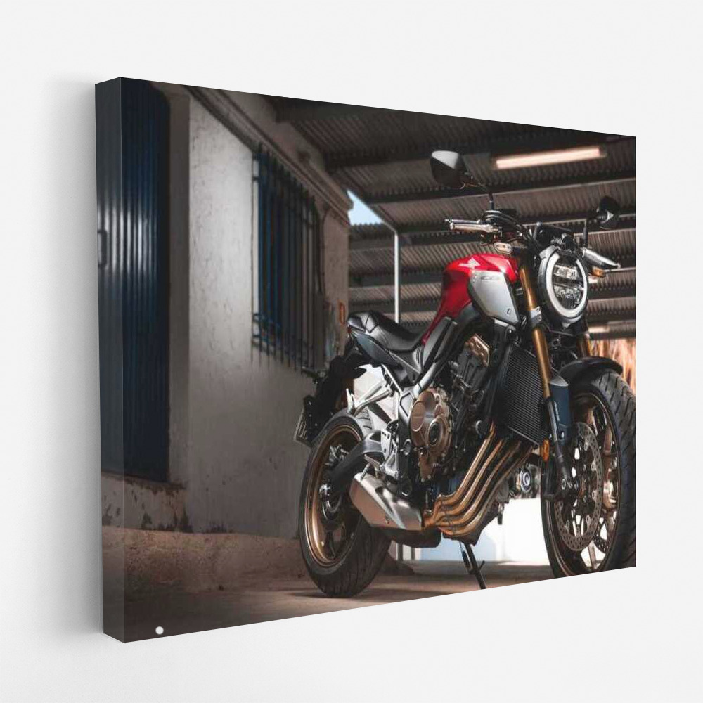 Honda CBR650R: Dynamics and Freedom of a Motobike