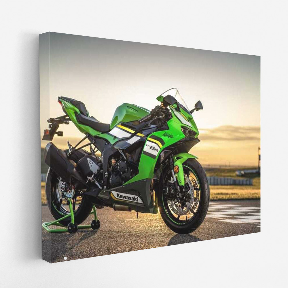 Kawasaki Ninja ZX-6R: The Wind of Freedom and Speed