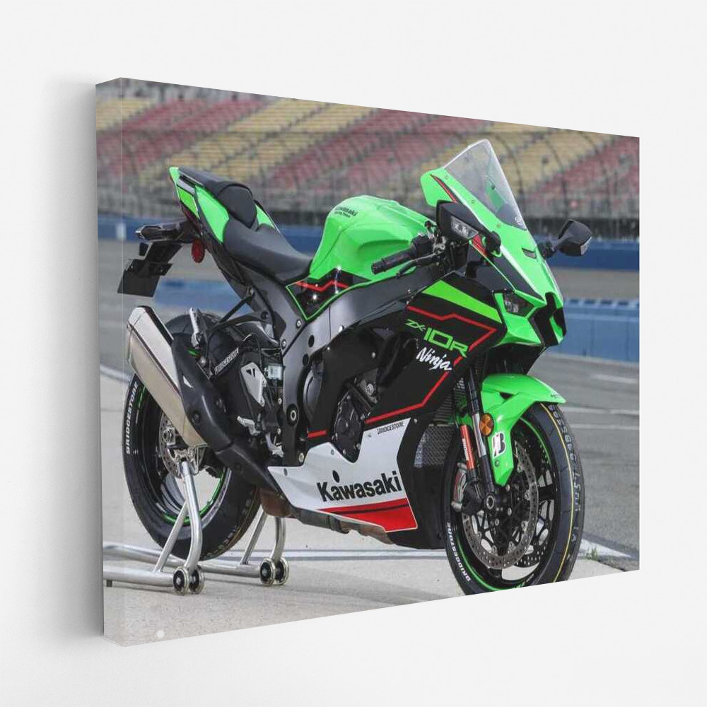 Speed Whirlwind: Kawasaki Ninja ZX 10R Motobike
