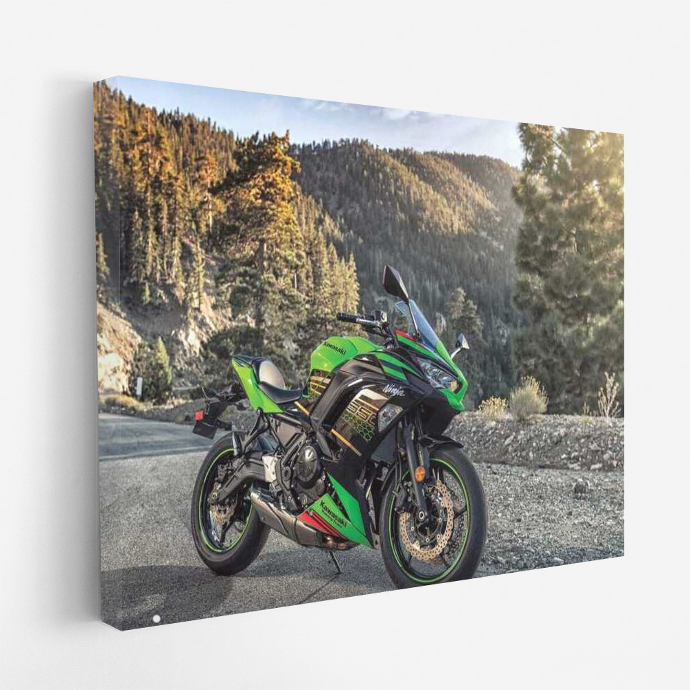 Freedom on Two Wheels: Kawasaki Ninja 650 in the Mountains