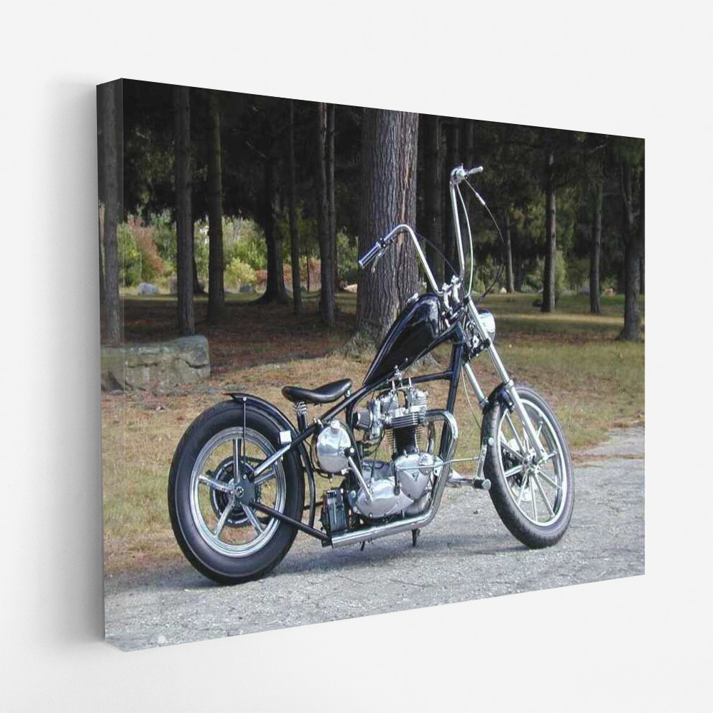 The Elegant Chopper Motobike 76: Freedom and Speed