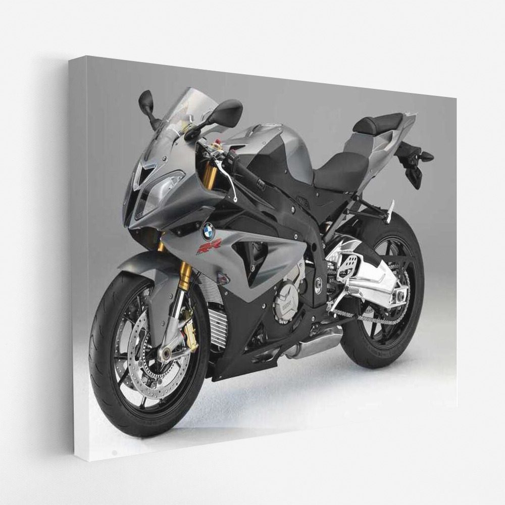 Speed Whirlwind: BMW S1000RR Motobike