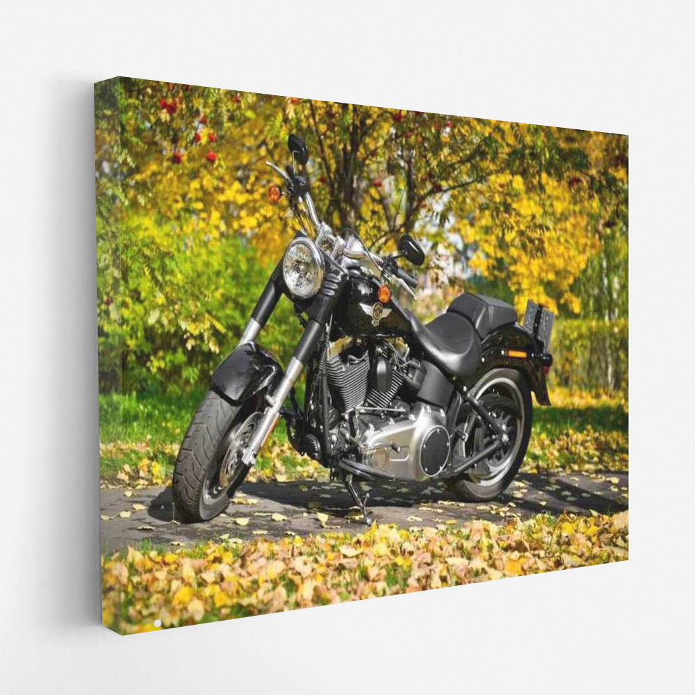 Autumn Wind of Freedom: Harley-Davidson Motobike 27