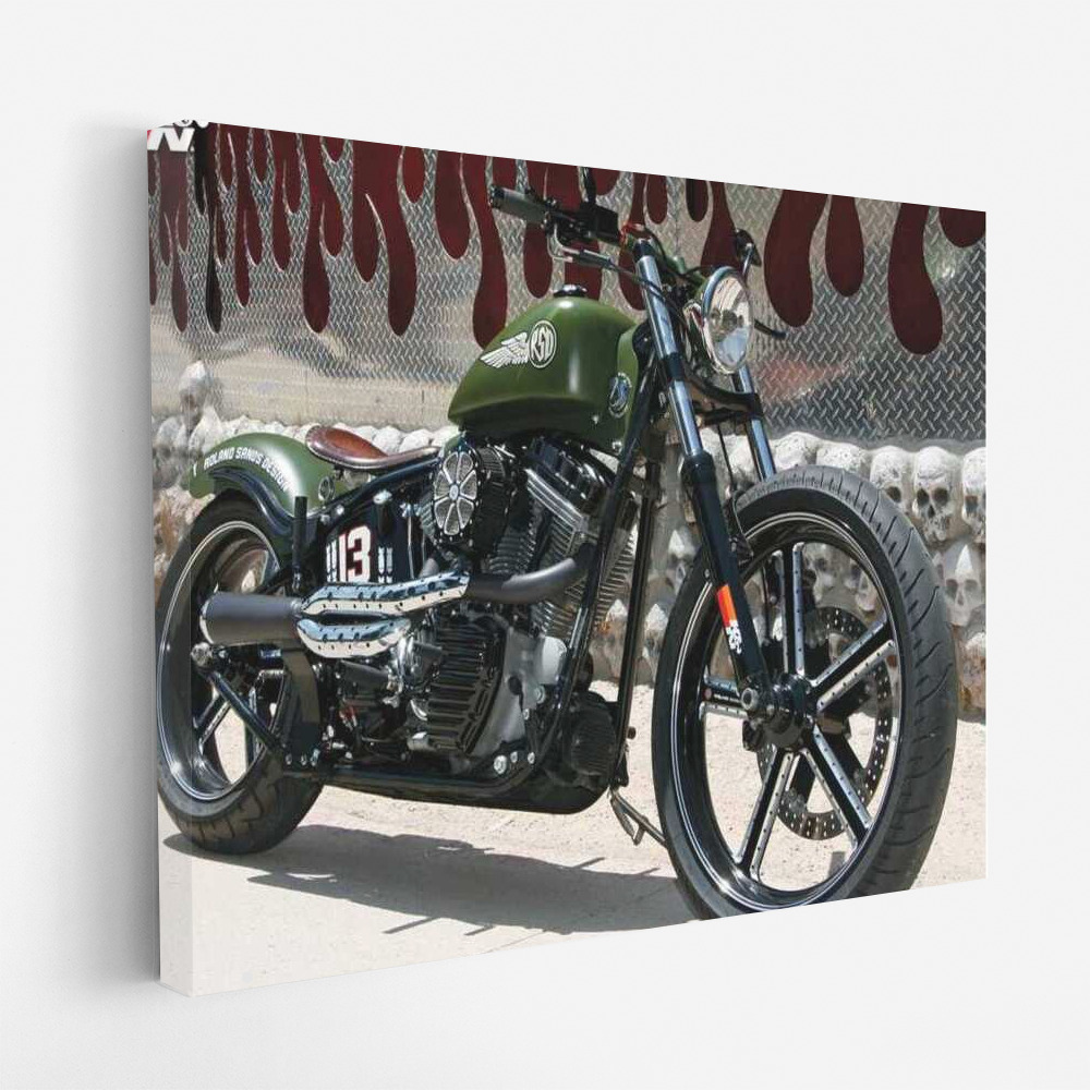 Freedom on the Road: Custom Harley-Davidson Motobike 78