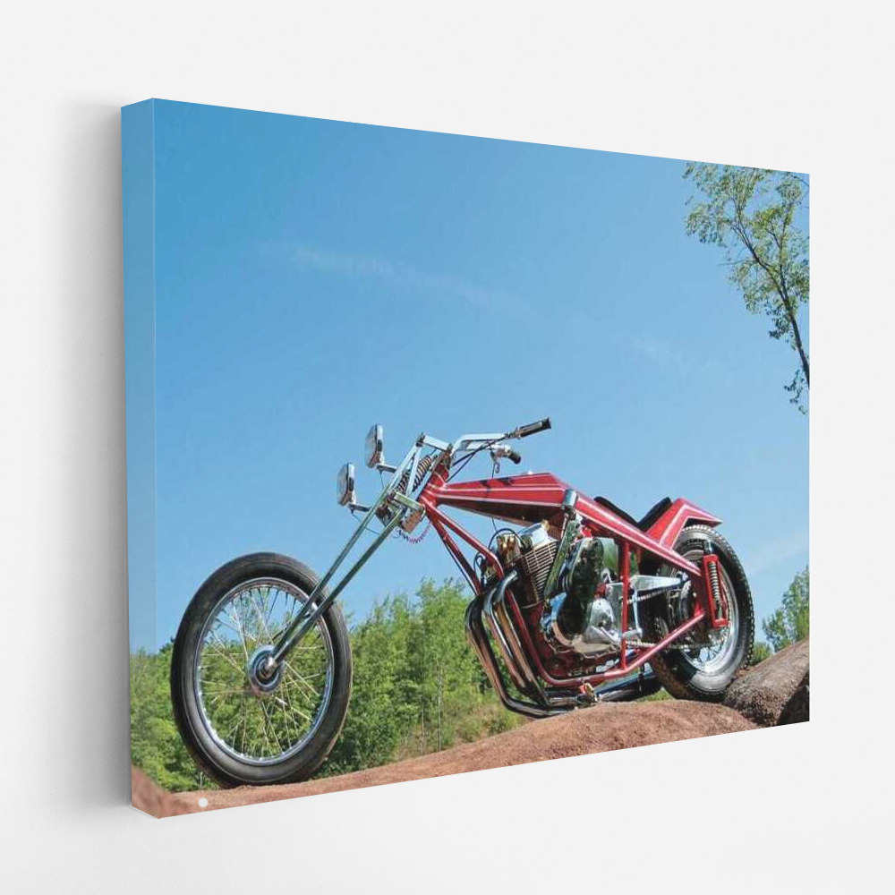 Freedom in Motion: Motobike in the Wild