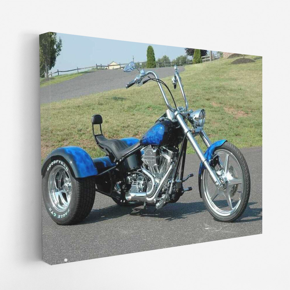 Freedom on Three Wheels: The Vibrant Motobike 80