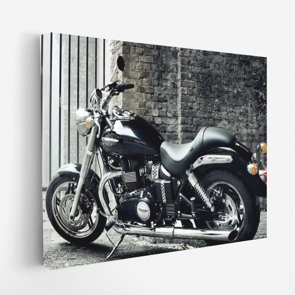 Triumph Thunderbird: Freedom and Power on the Road