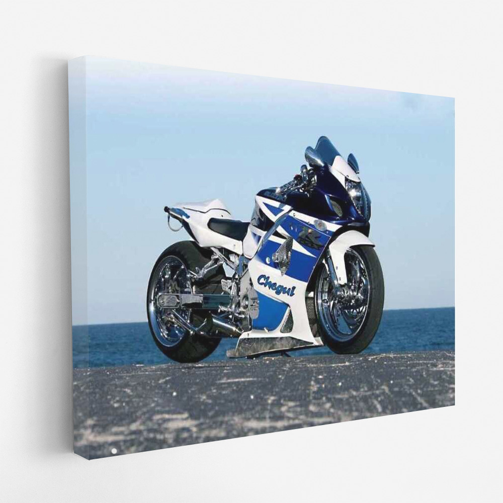 Elegant Bike Against the Sea: Freedom and Speed