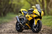 Bright Yellow BMW S1000RR: Speed and Power of a Motobike
