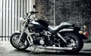 Triumph Thunderbird: Freedom and Power on the Road