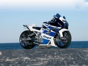 Elegant Bike Against the Sea: Freedom and Speed