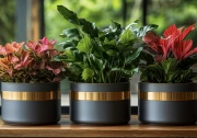 Calathea in Art Deco Style: Elegance and Natural Grace
