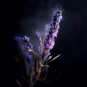 Lavender Graces: Floral Symphony