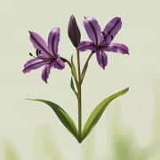 Casablanca Lily: Mistake in Flower Paradise