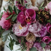 Phalaenopsis Orchid: Floral Symphony