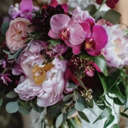 The Charm of the Phalaenopsis Orchid: A Floral Symphony