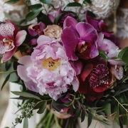 Phalaenopsis Orchid: Floral Symphony