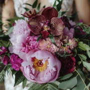 Phalaenopsis Orchid: Floral Symphony