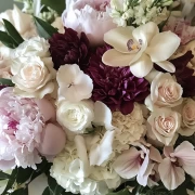 Peonies Charm: Lush Peony Flowers in Pink