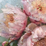 Peonies Sarah Bernhardt: Flower Symphony