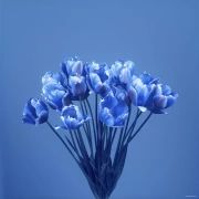 Harmony of Blue Tulips: Blue Screen Tulips 3