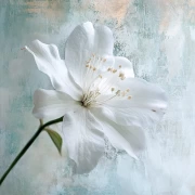 Elegant White Hibiscus: Delicate Flower for Interior
