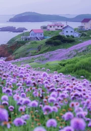 Lavender Field: Delicate Flowers for Interior