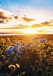 Forget-me-nots and Yellow Lilies: Natural Freshness in the Interior