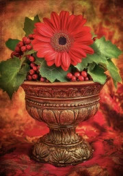 Elegant Red Flower and Berries: Nature in Interior