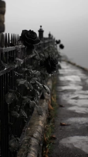 Black Roses: Mysterious Flowers for an Elegant Interior