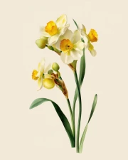 Narcissus Poyet: Floral Symphony for the Interior